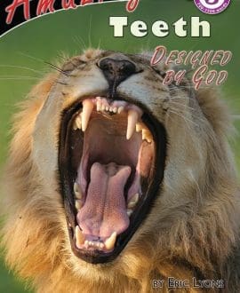 Amazing Teeth Designed by God