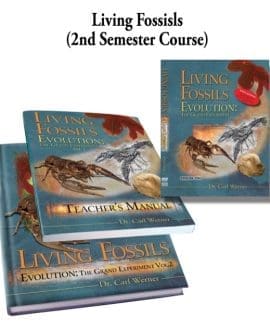 Grand Experiment Semester 2 Set