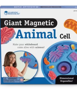 Giant Magnetic Animal Cell
