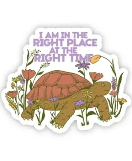 "I Am In The Right Place At The Right Time" Turtle Sticker