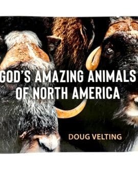 Gods Amazing Animals of North America by Doug Velting