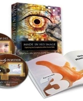 Life's Story 2: The Reason for the Journey [DVD](中古品) Life's Story 2 - The Reason for the Journey DVD